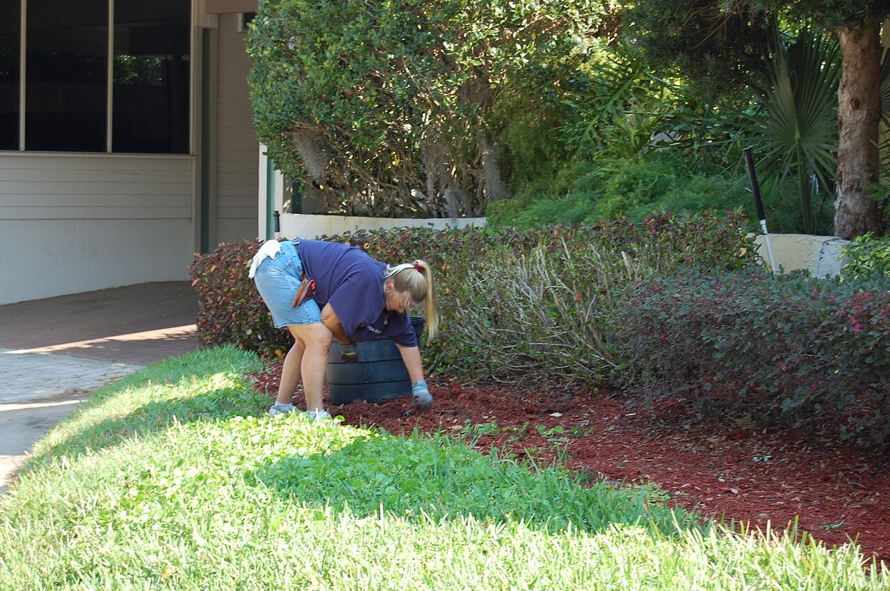 Working a mulched flower bed beside a house
